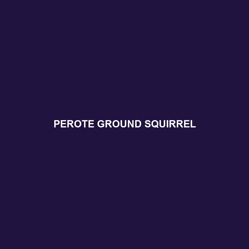 Perote Ground Squirrel