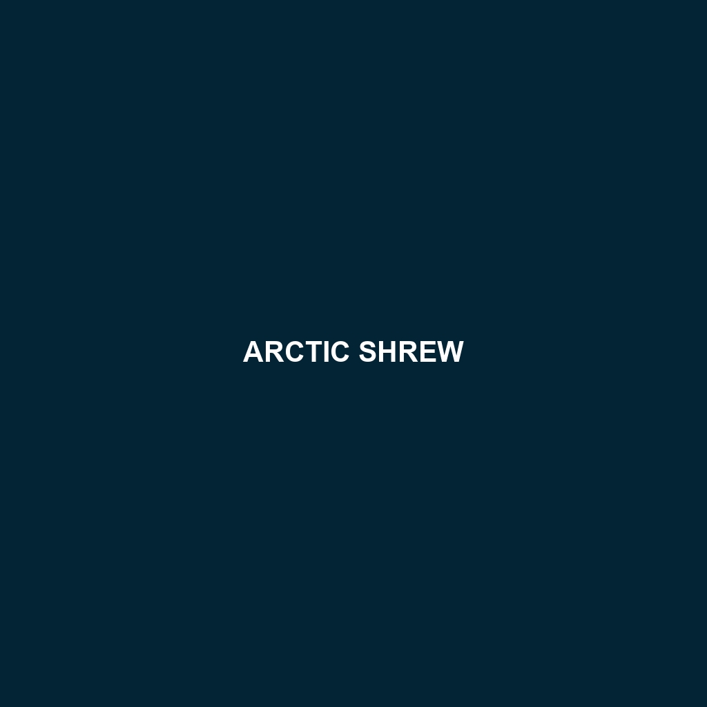 Arctic Shrew