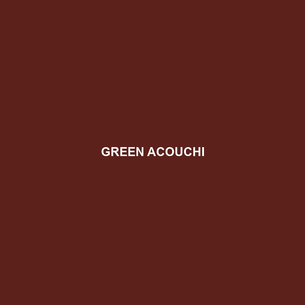 Green Acouchi