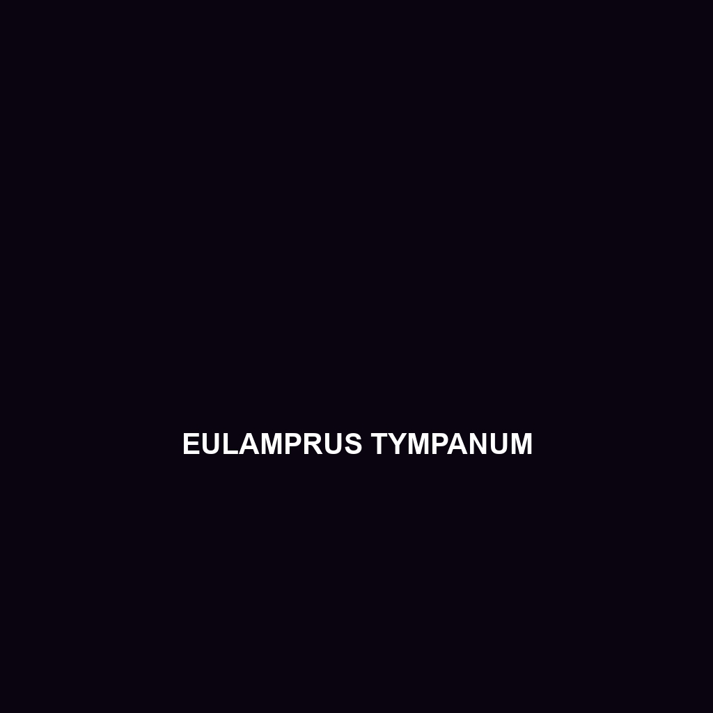 Eulamprus tympanum