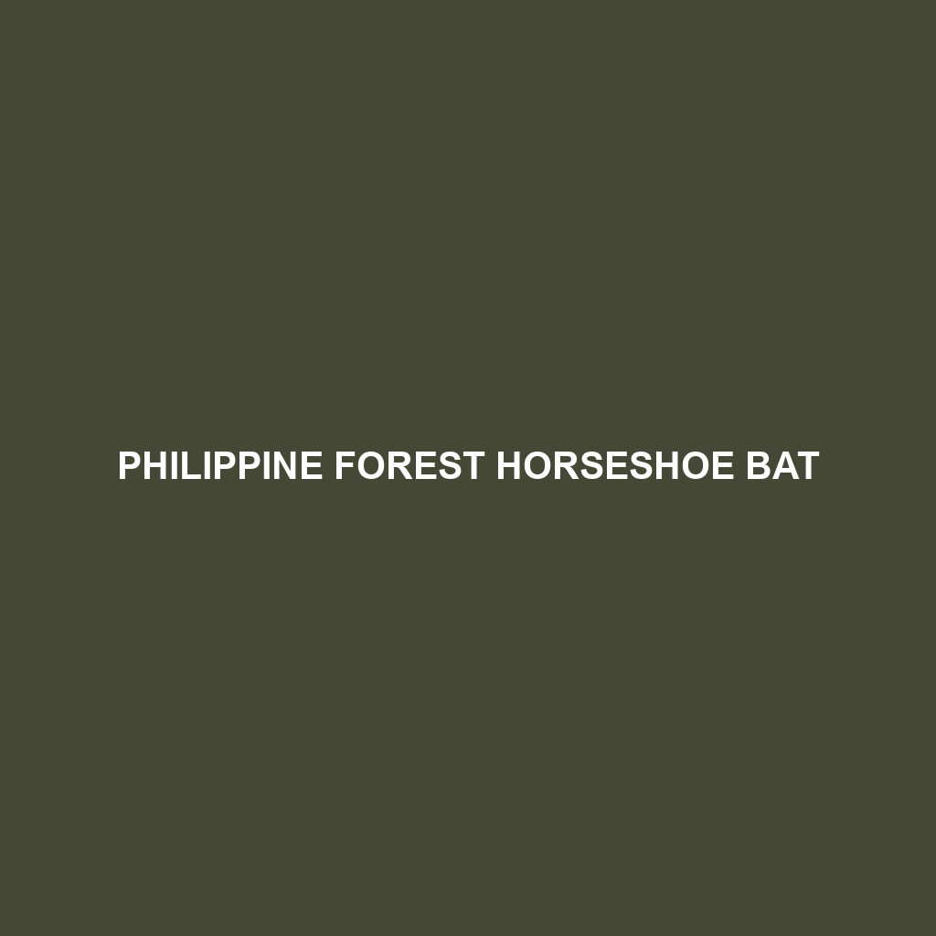 Philippine Forest Horseshoe Bat