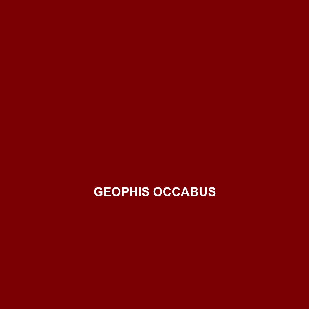 Geophis occabus