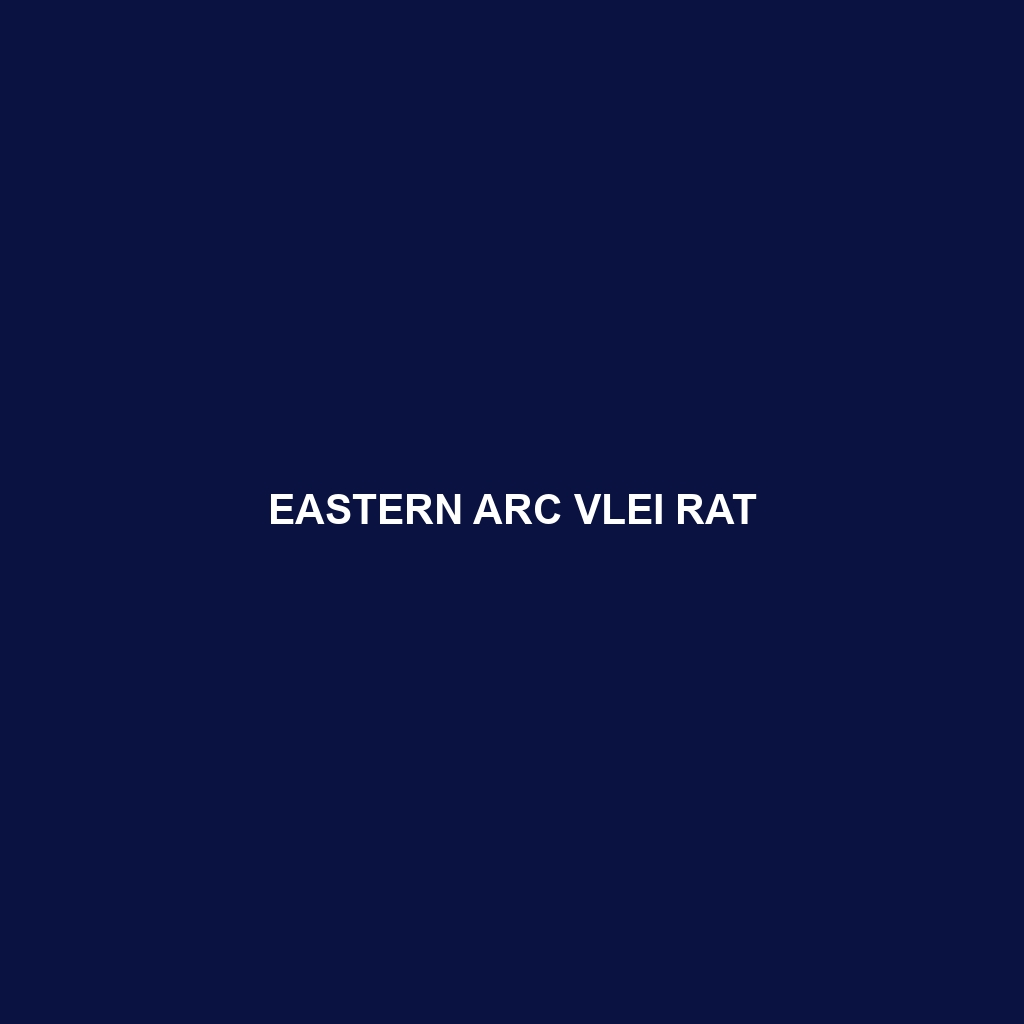 Eastern Arc Vlei Rat