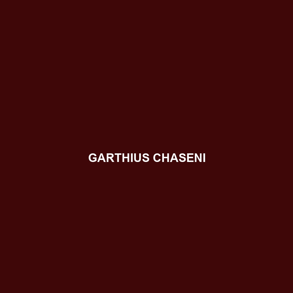 Garthius chaseni