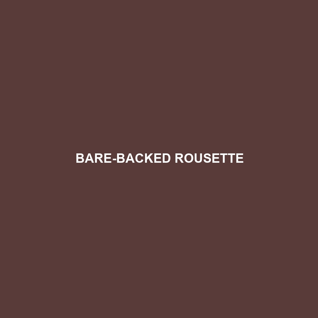 Bare-backed Rousette