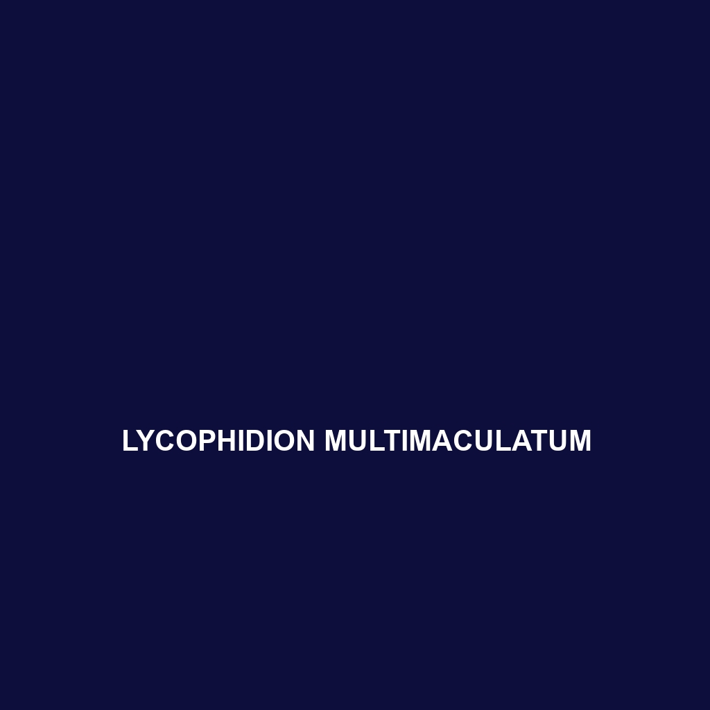 Lycophidion multimaculatum