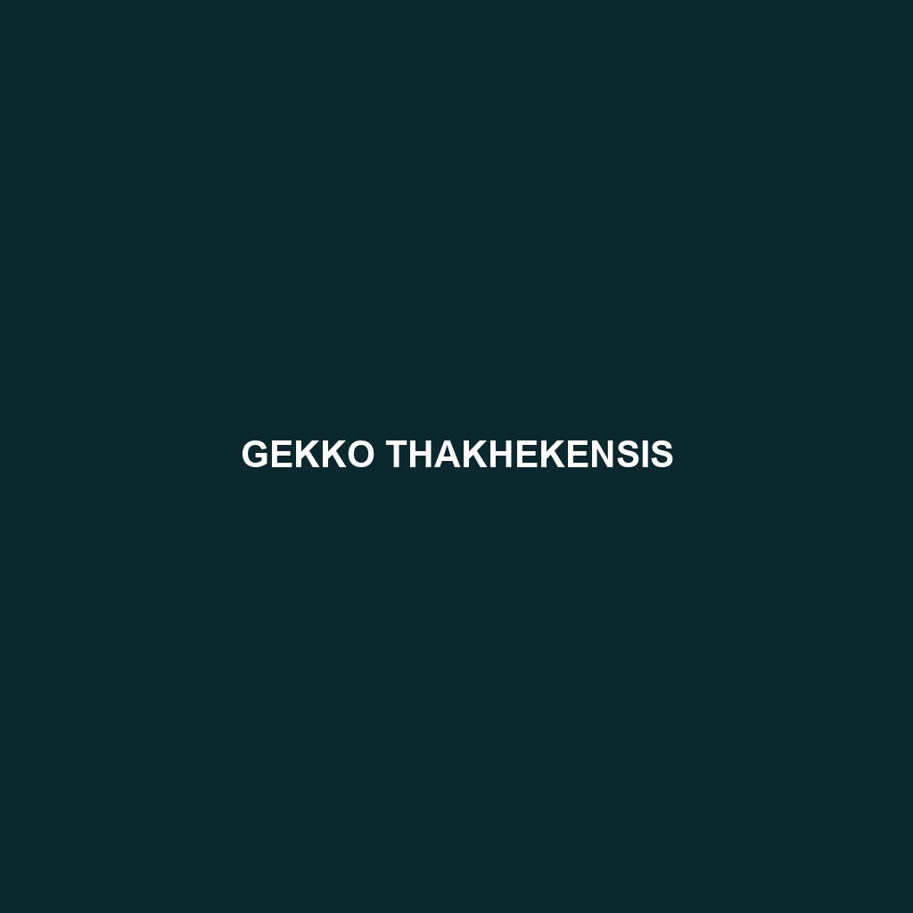 Gekko thakhekensis