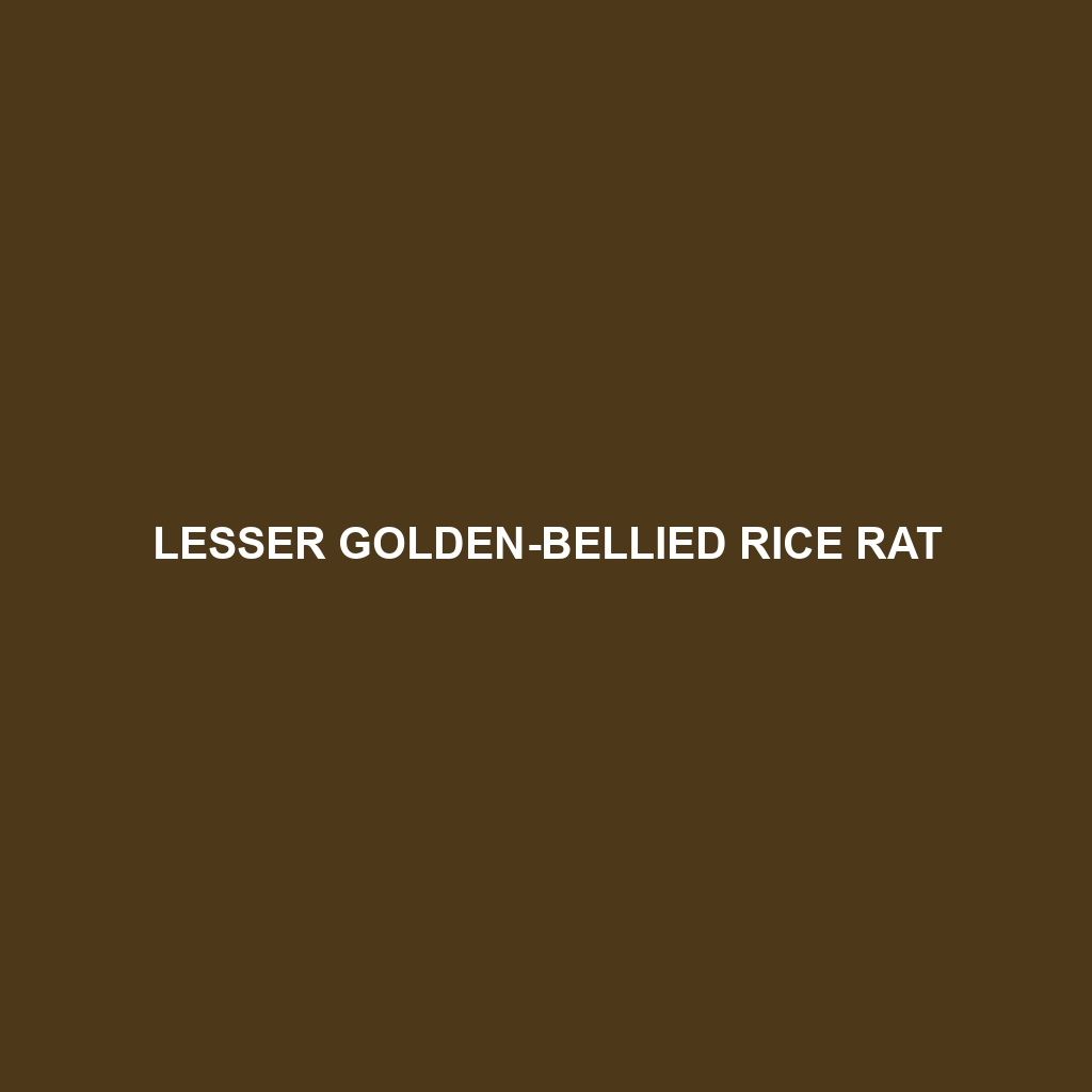 Western Colombian Rice Rat