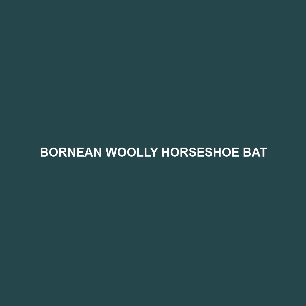 Bornean Woolly Horseshoe Bat