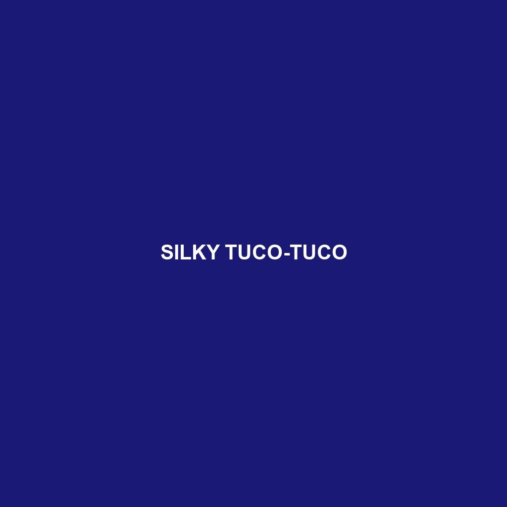 Silky Tuco-tuco