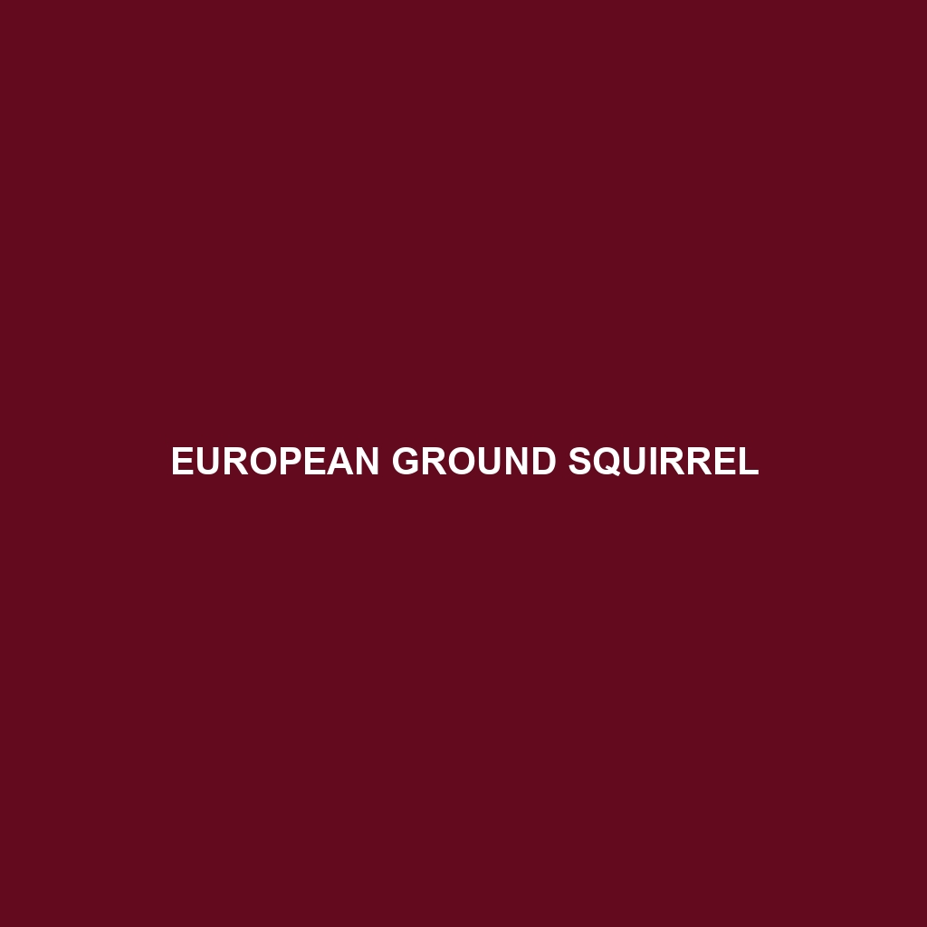 European Ground Squirrel