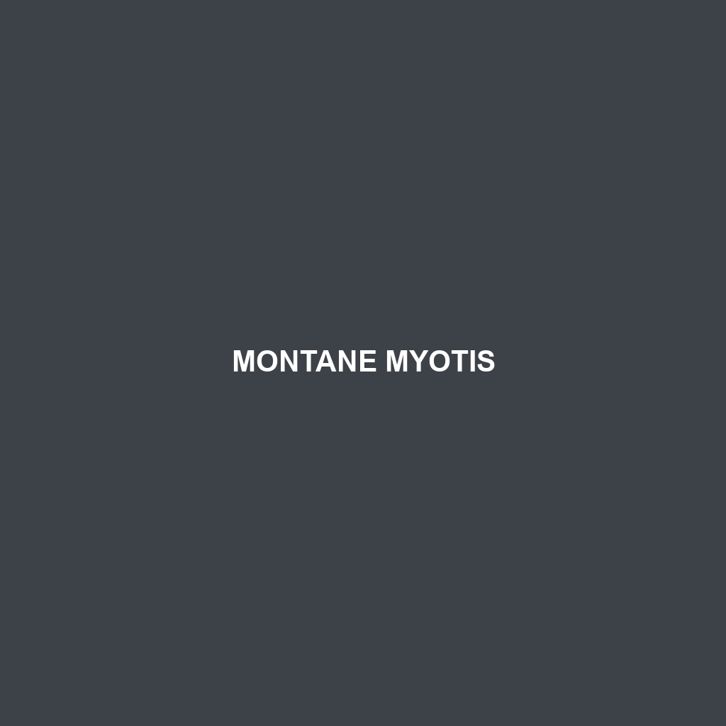 Montane Myotis