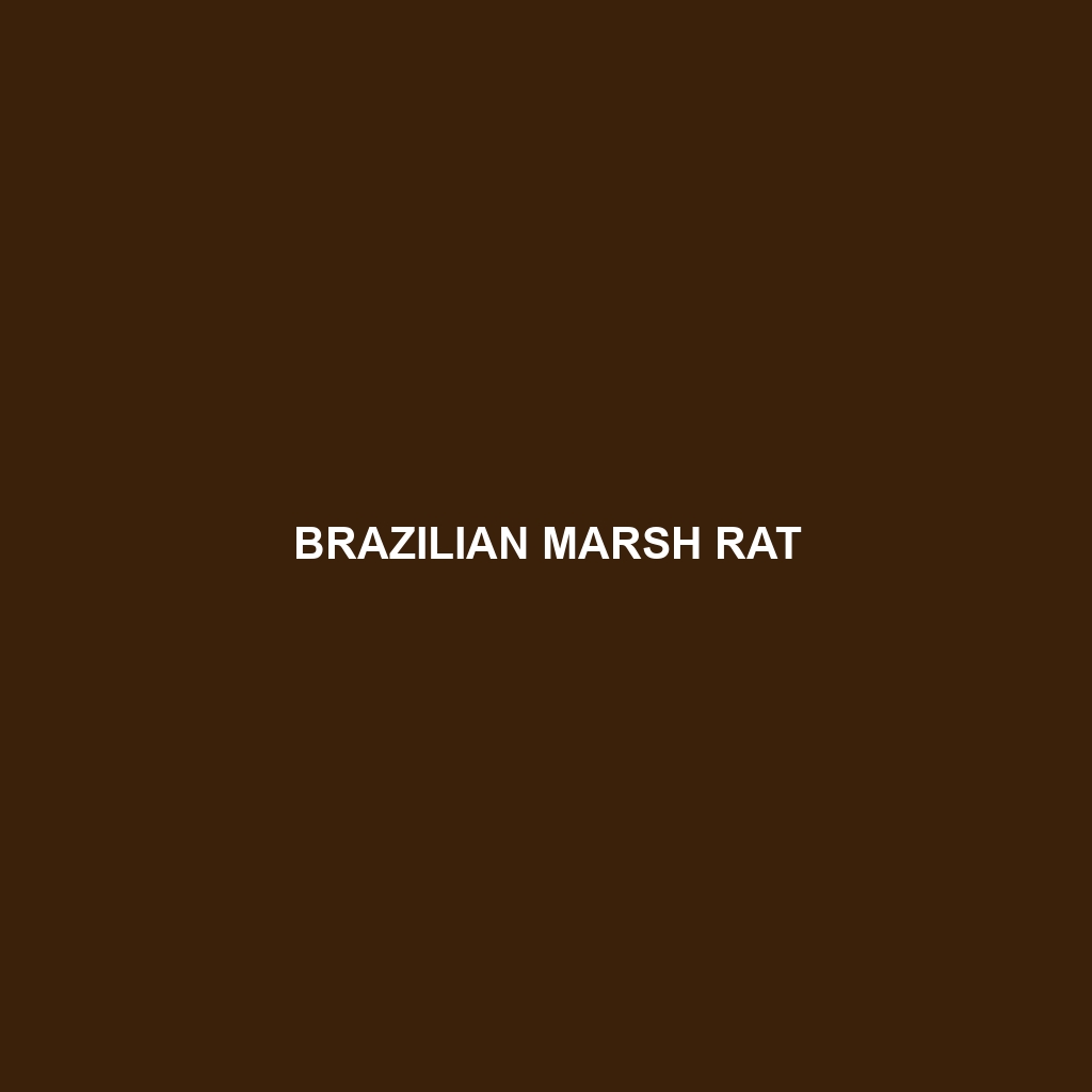 Brazilian Marsh Rat