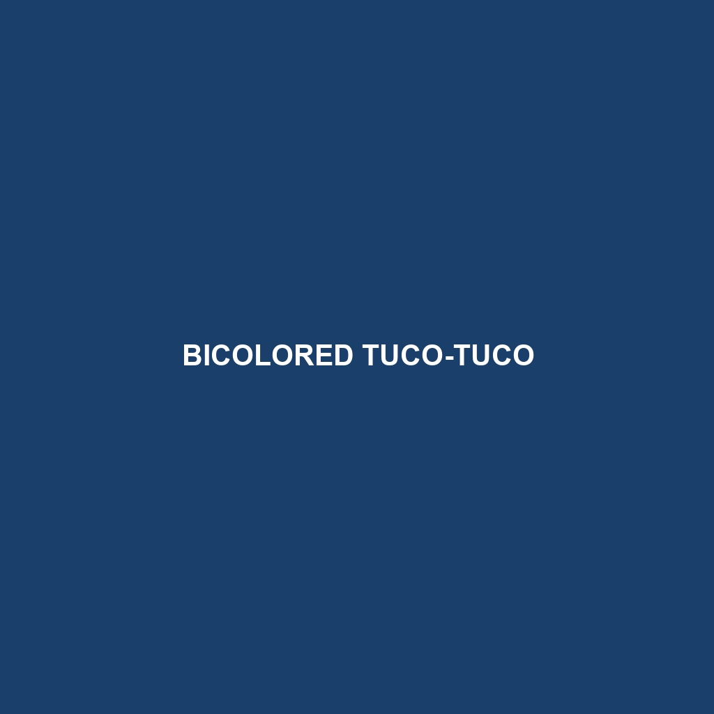 Bicolored Tuco-tuco