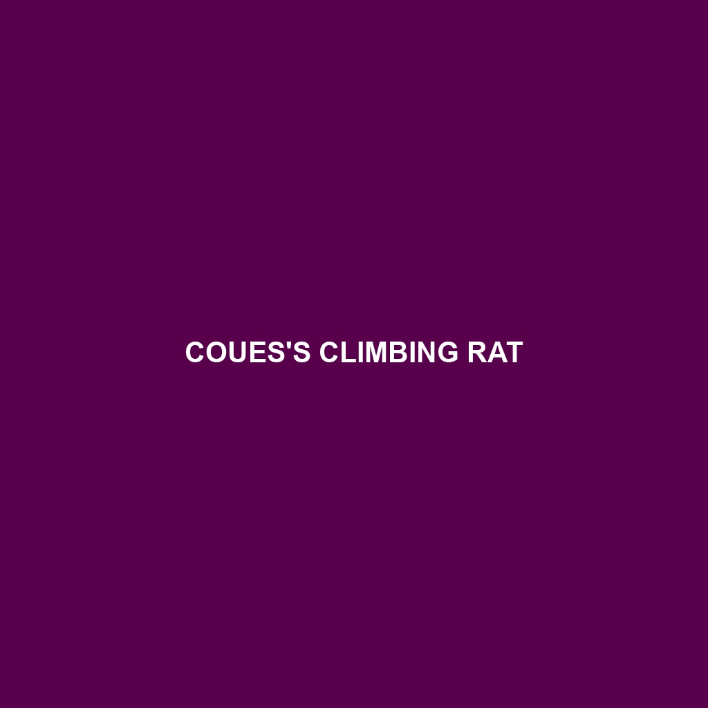 Coues's Climbing Rat