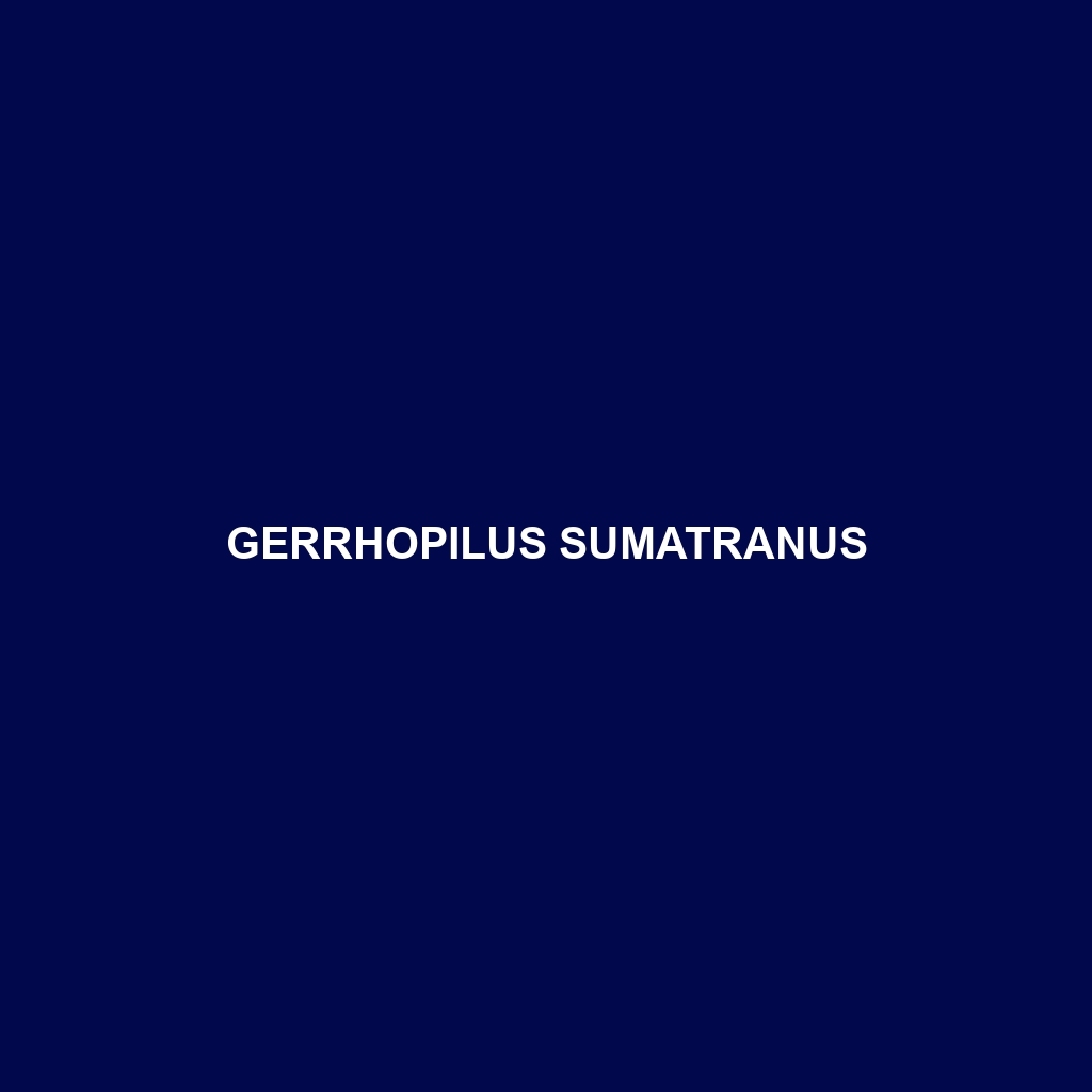 Gerrhopilus sumatranus