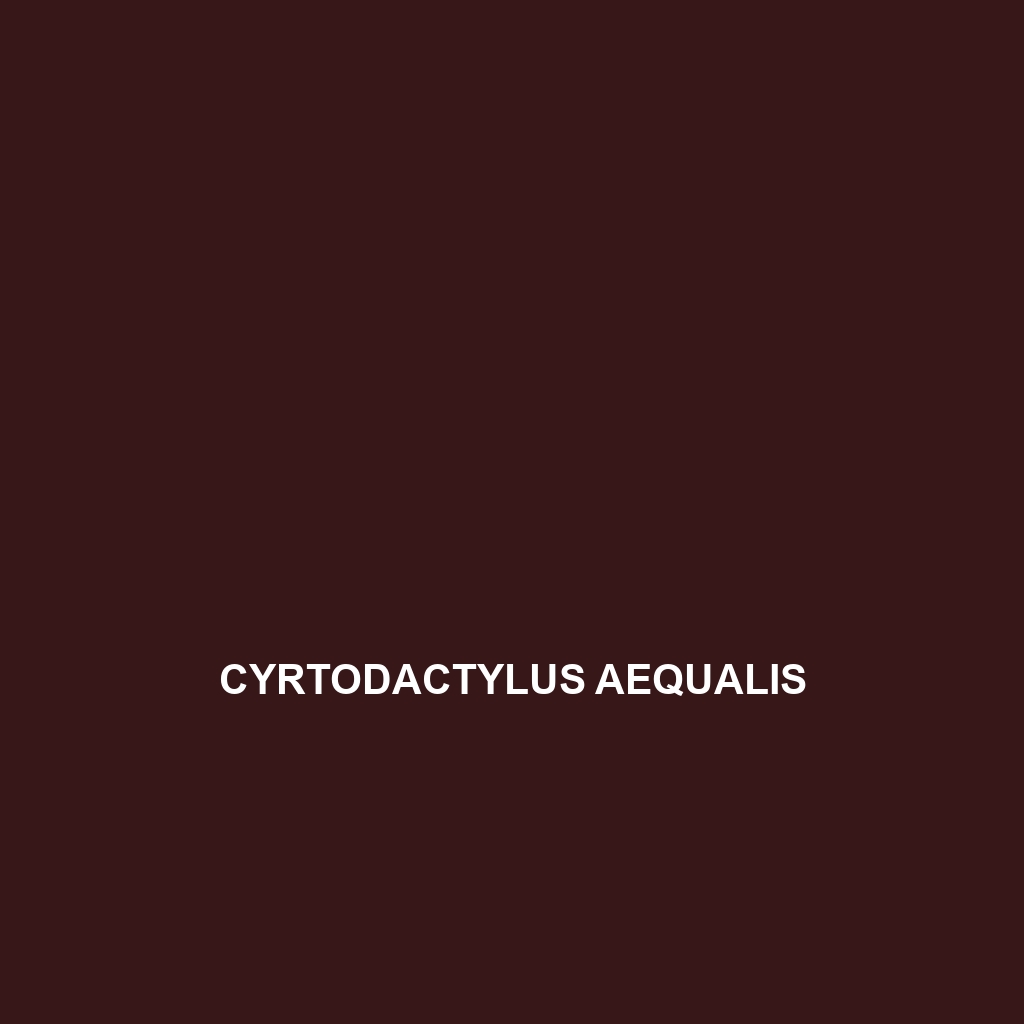 Cyrtodactylus aequalis