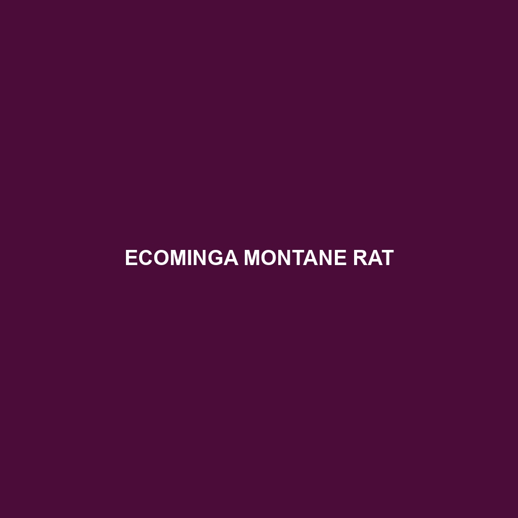 Ecominga Montane Rat