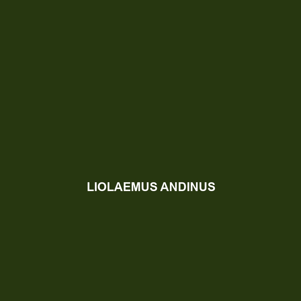 Liolaemus andinus