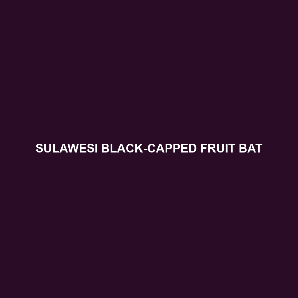 Sulawesi Black-capped Fruit Bat