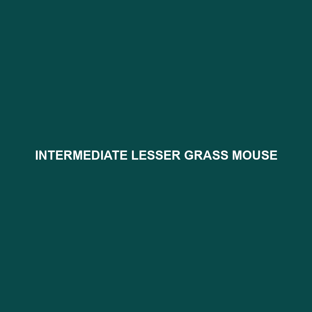 Intermediate Lesser Grass Mouse