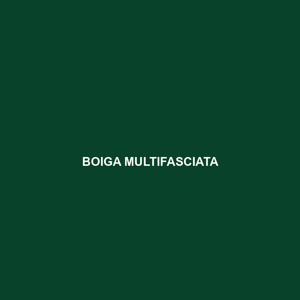 Boiga multifasciata