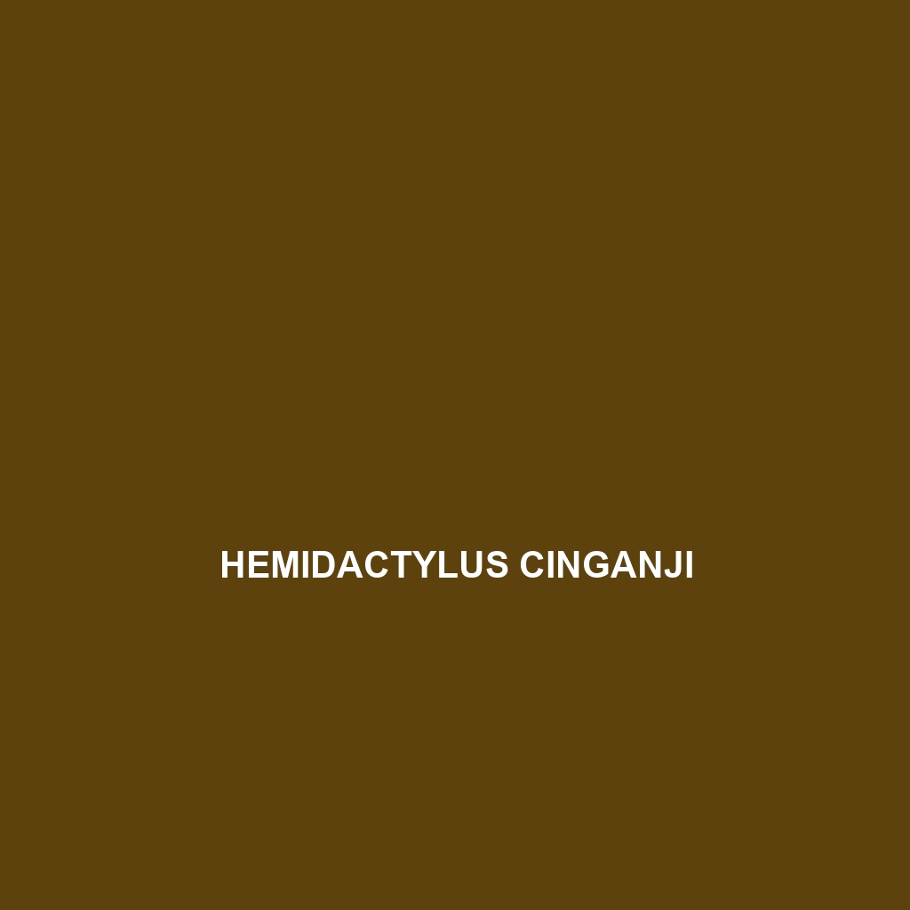 Hemidactylus cinganji