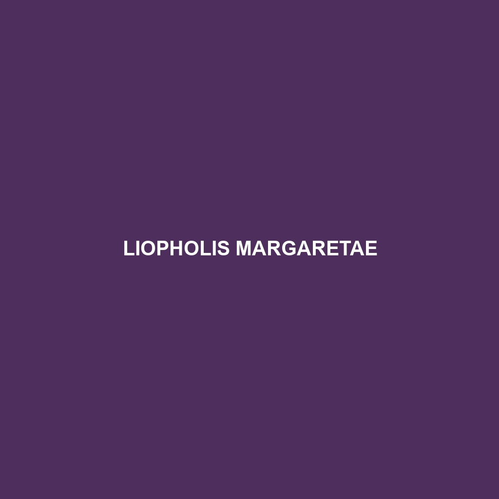 Liopholis margaretae