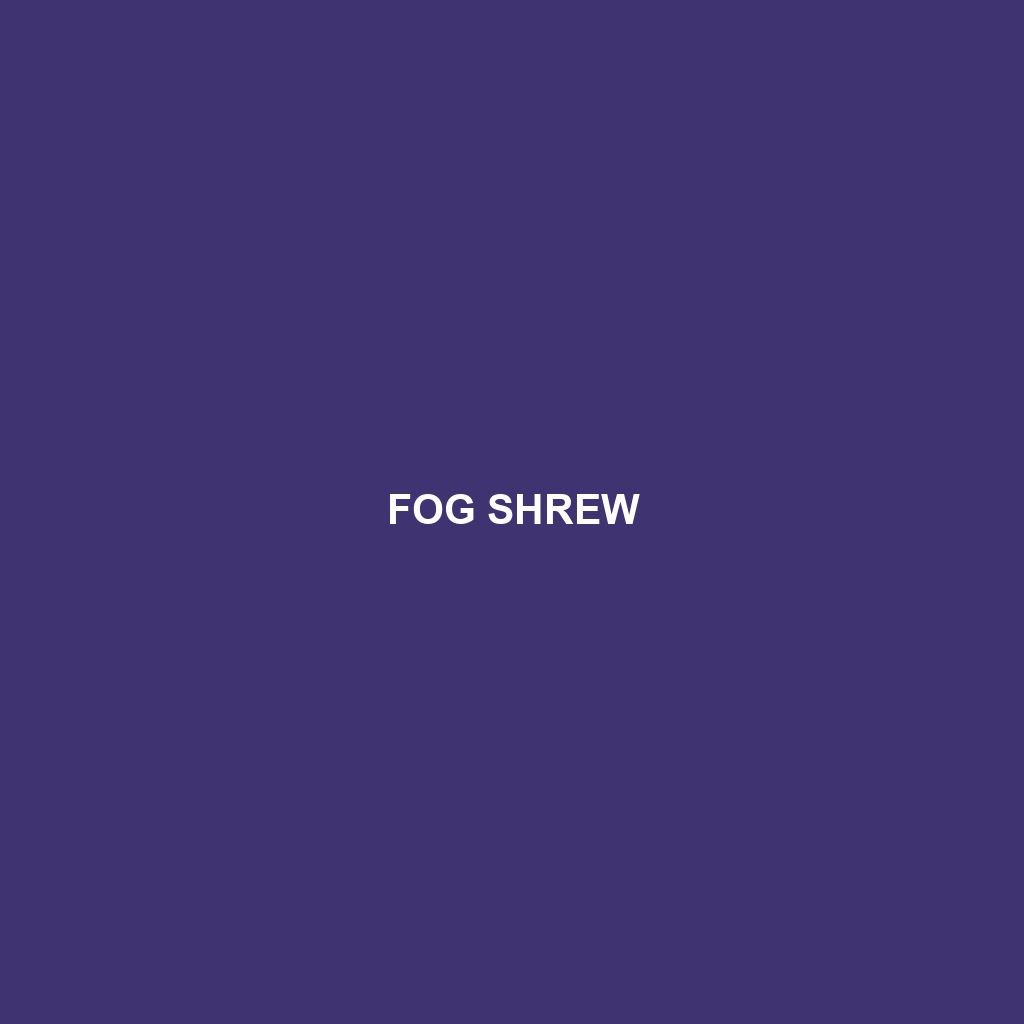 Fog Shrew