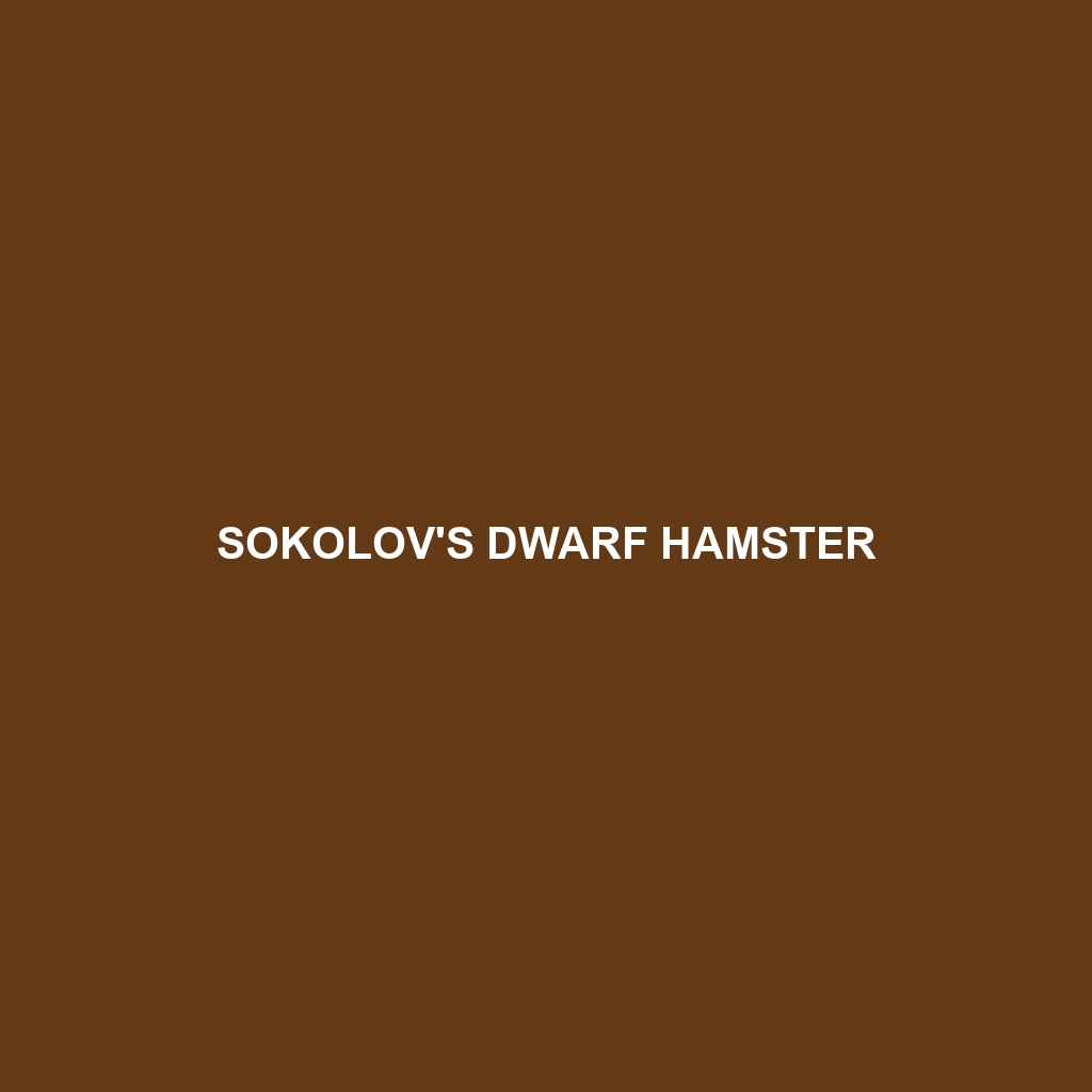 Sokolov's Dwarf Hamster