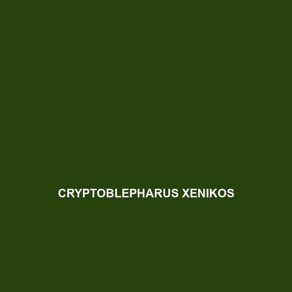 Cryptoblepharus xenikos