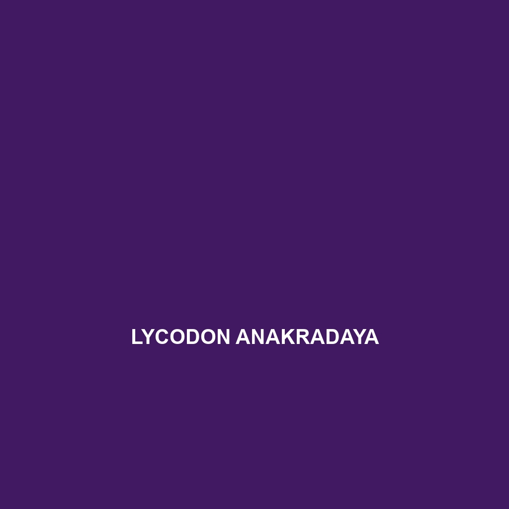 Lycodon anakradaya