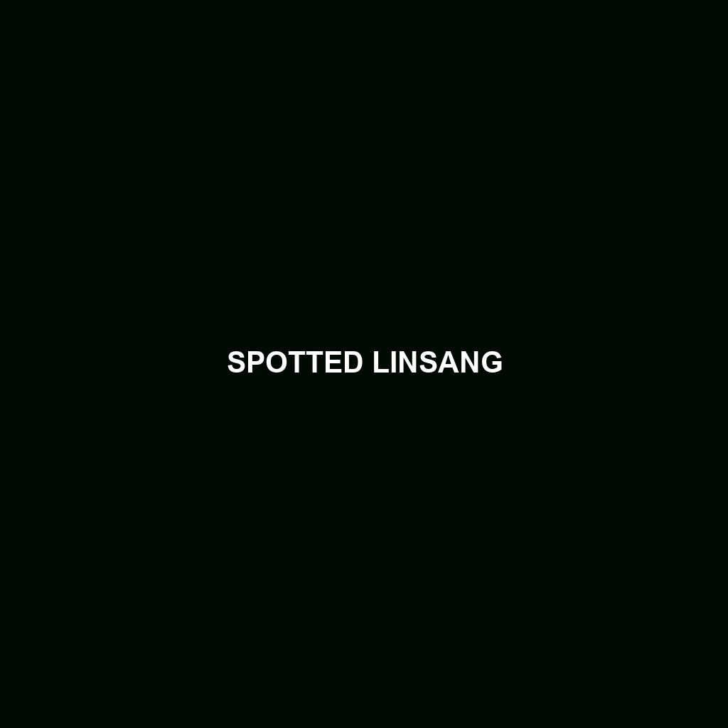 Spotted Linsang