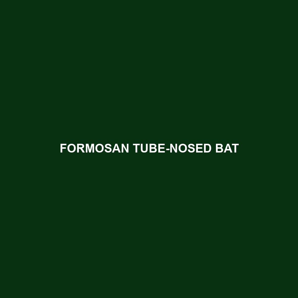 Formosan Tube-nosed Bat