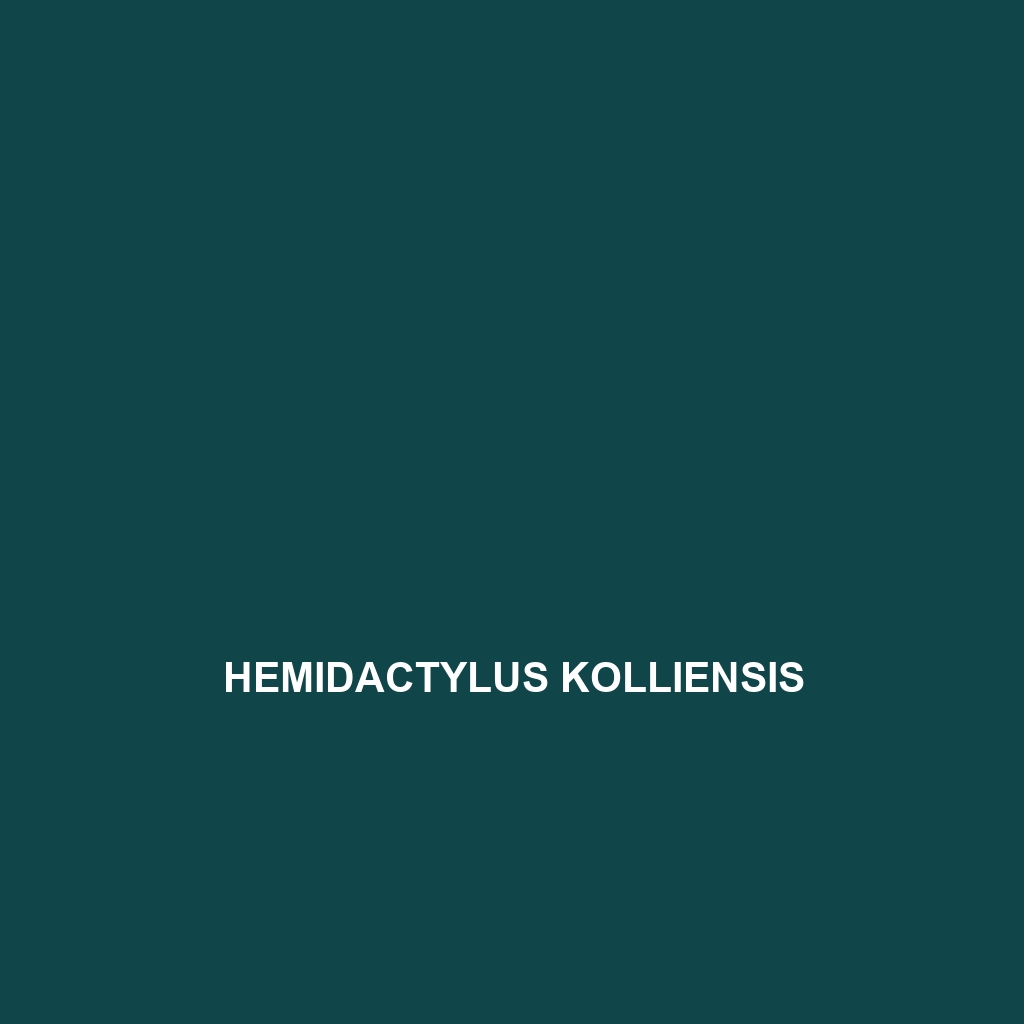 Hemidactylus kolliensis