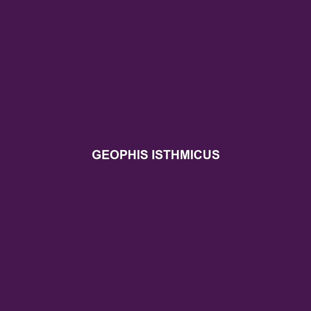 Geophis isthmicus