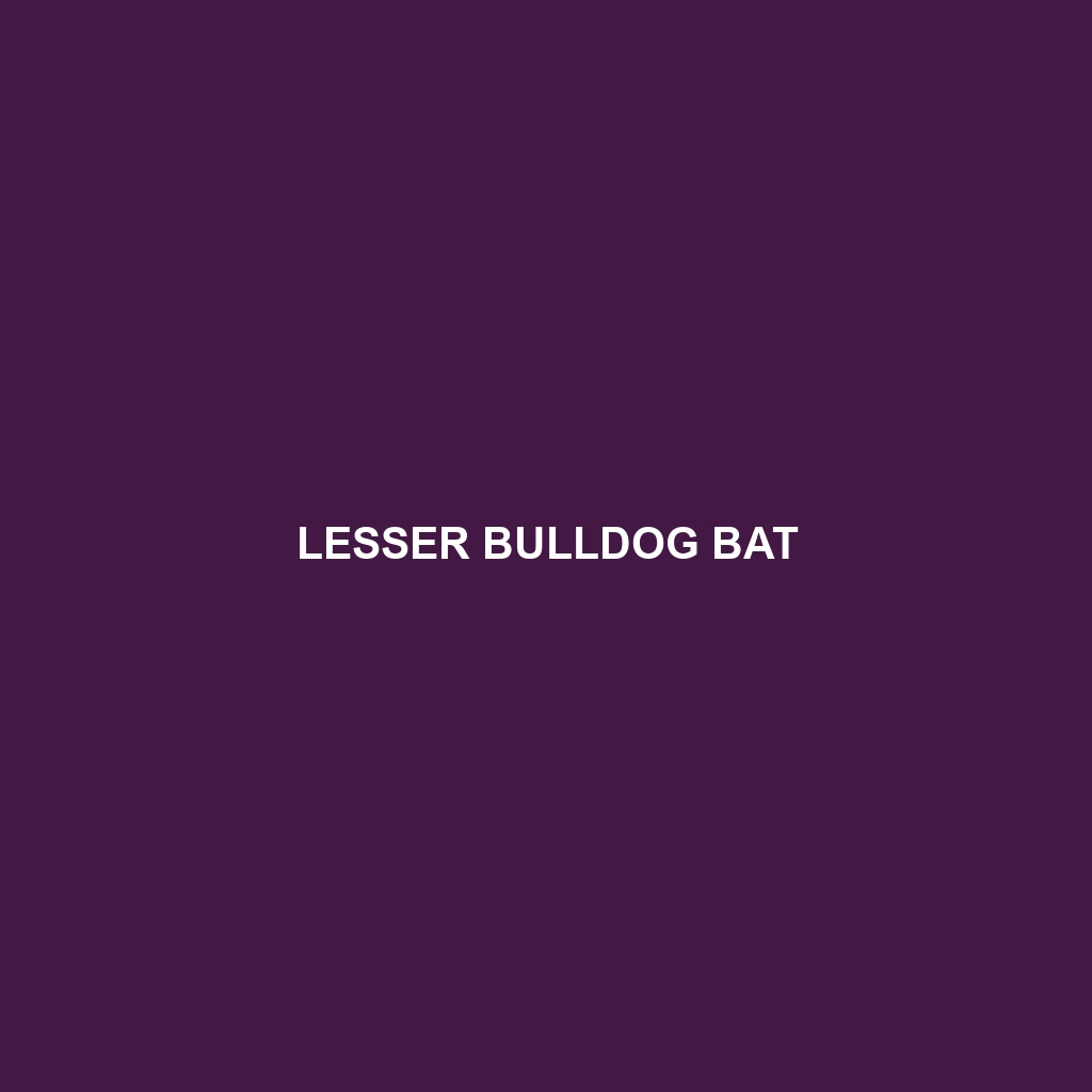 Lesser Bulldog Bat