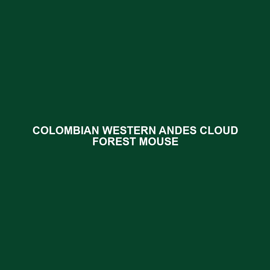 Colombian Western Andes Cloud Forest Mouse