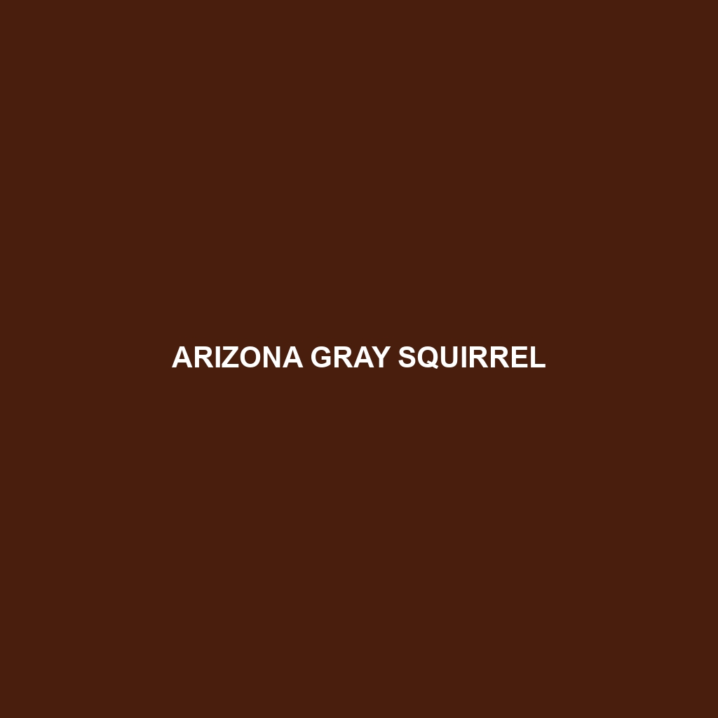 Arizona Gray Squirrel