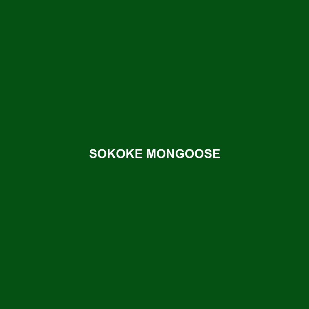 Sokoke Mongoose