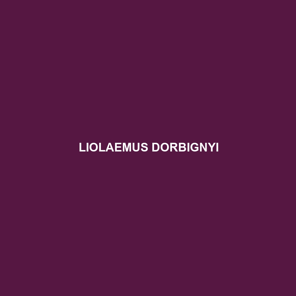 Liolaemus dorbignyi