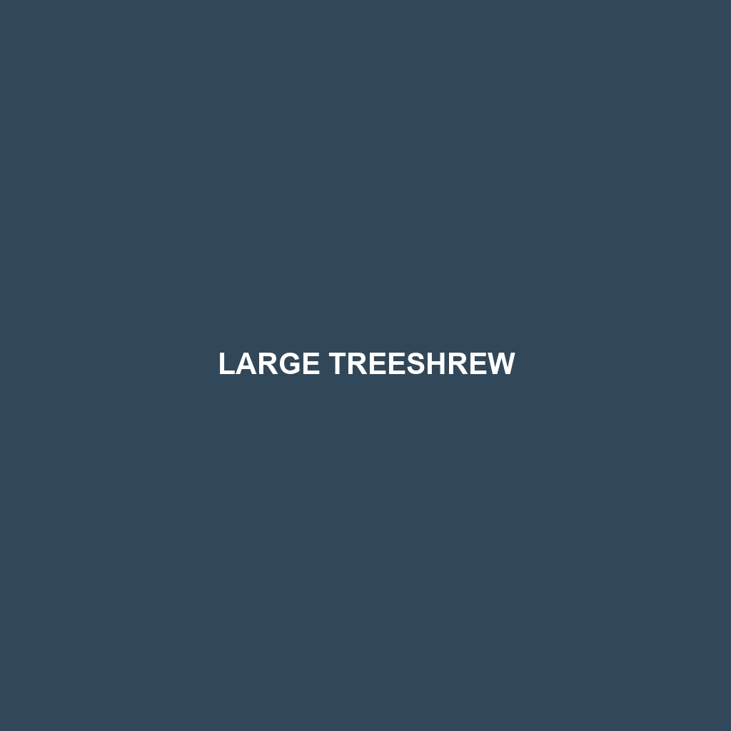 Large Treeshrew