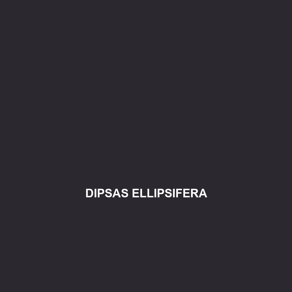 Dipsas elegans