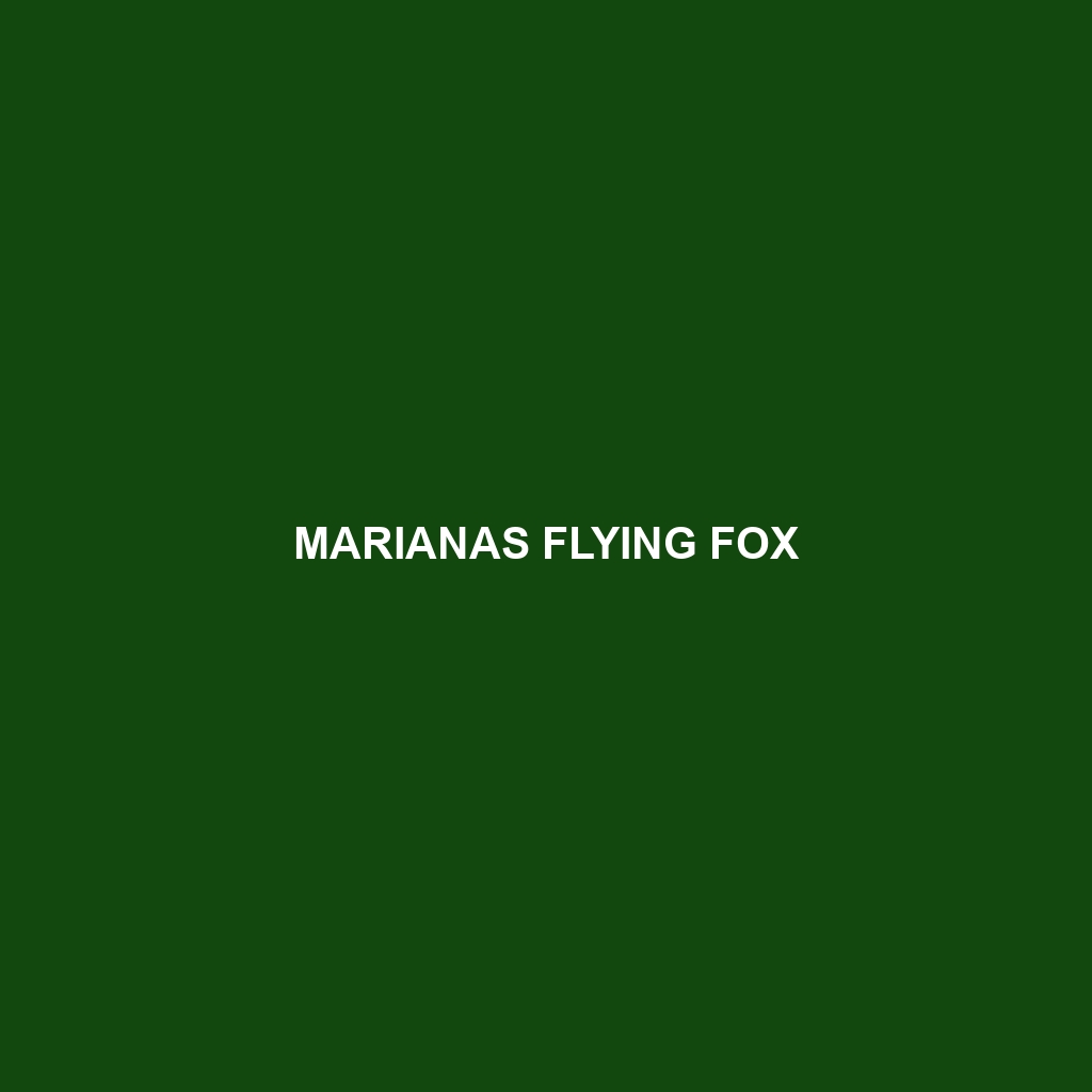 Marianas Flying Fox