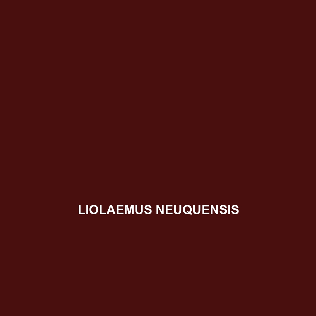 Liolaemus neuquensis