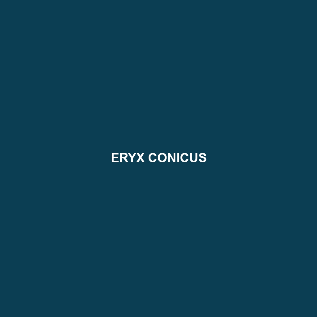 Eryx conicus