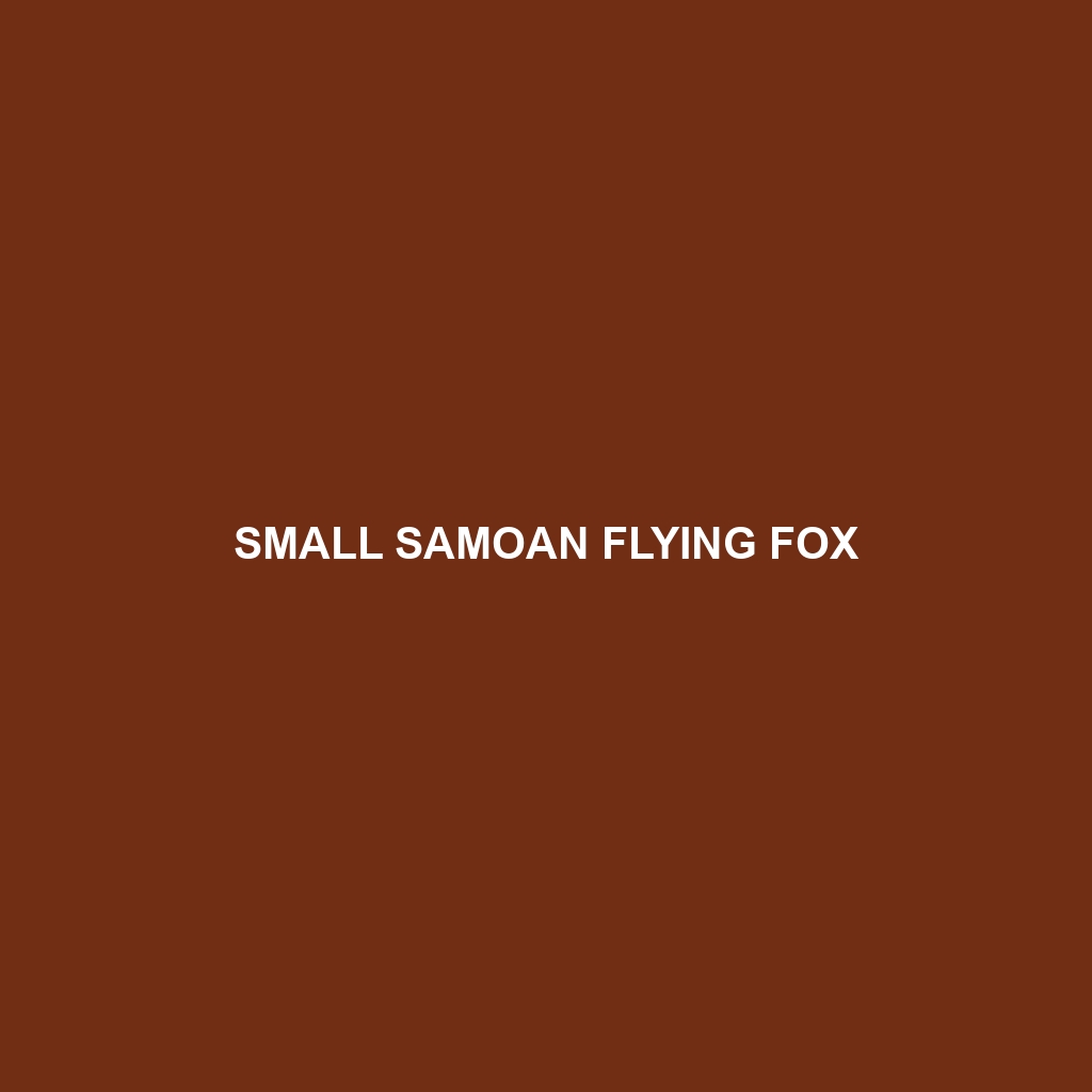 Small Samoan Flying Fox