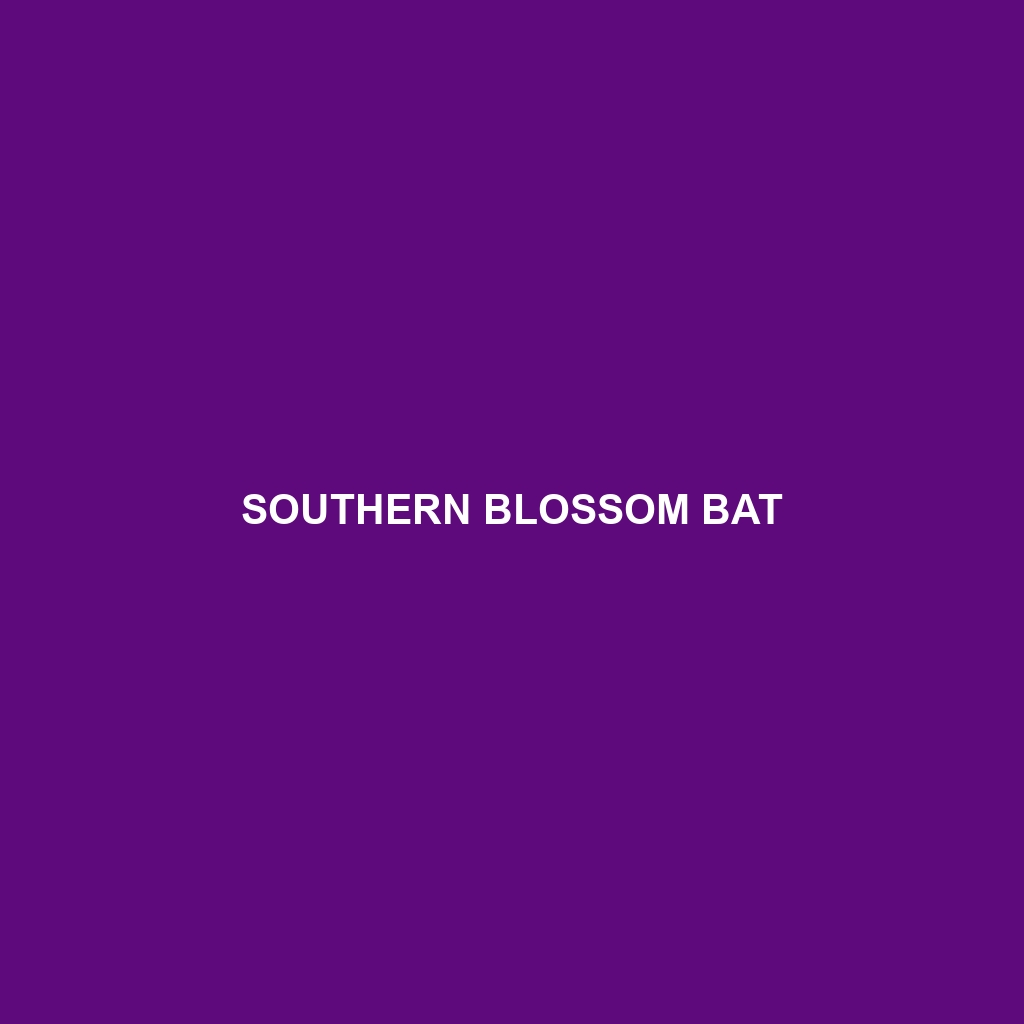 Southern Blossom Bat