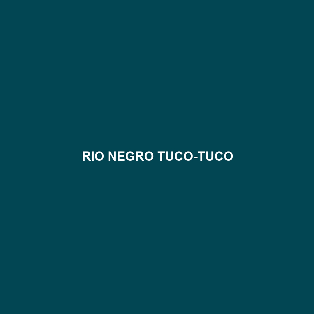 Rio Negro Tuco-tuco