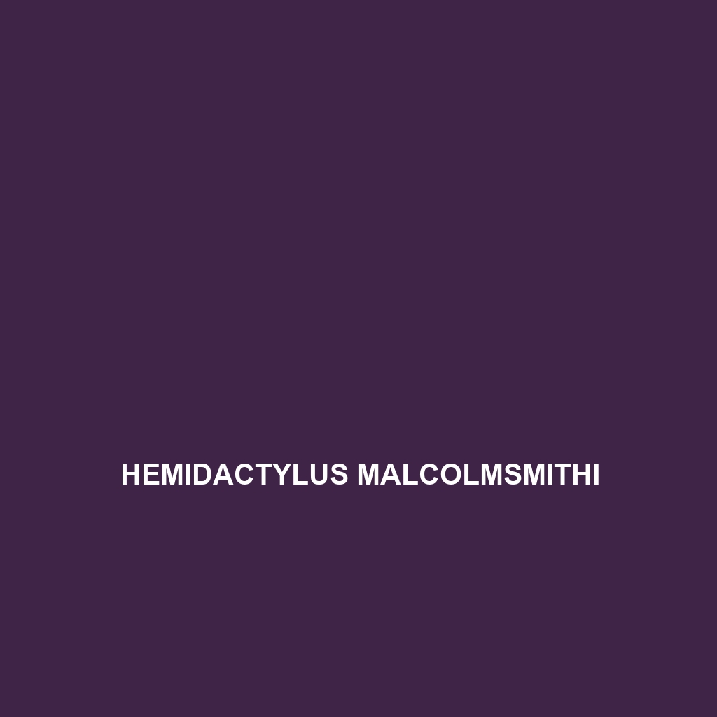 Hemidactylus malcolmsmithi